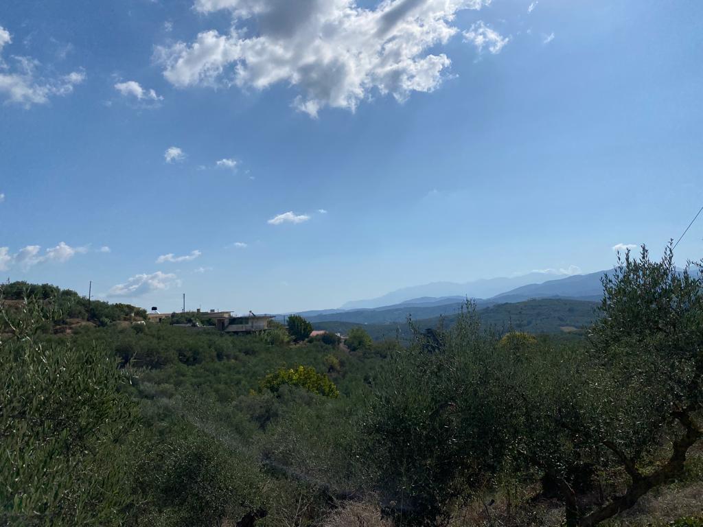 Land in Platanias, Chania Prefecture, Greece – 56753
