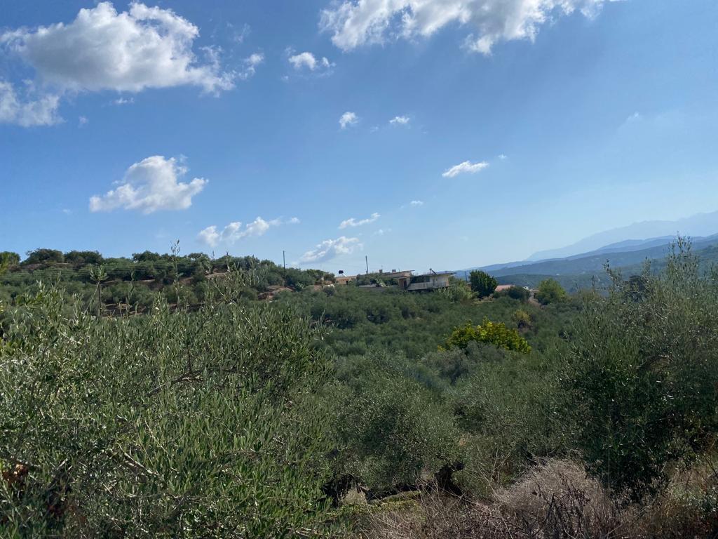 Land in Platanias, Chania Prefecture, Greece – 56753