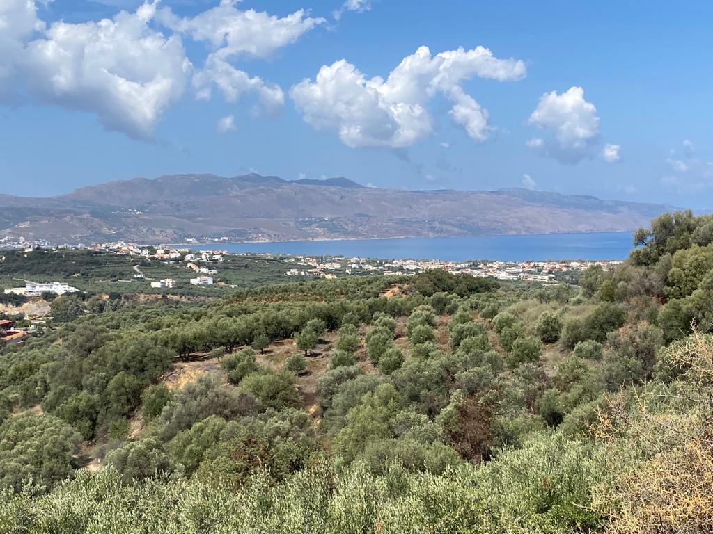 Land in Platanias, Chania Prefecture, Greece – 56752
