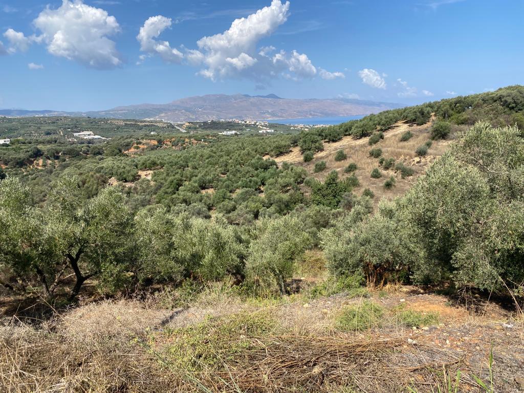 Land in Platanias, Chania Prefecture, Greece – 56751