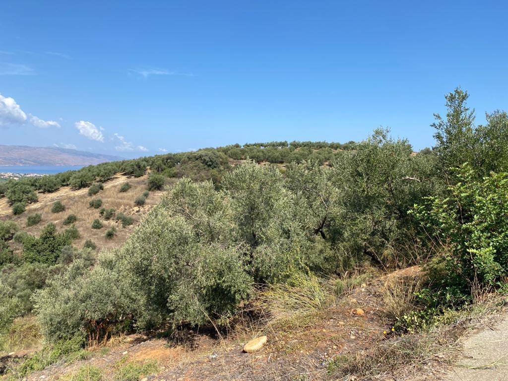 Land in Platanias, Chania Prefecture, Greece – 56751