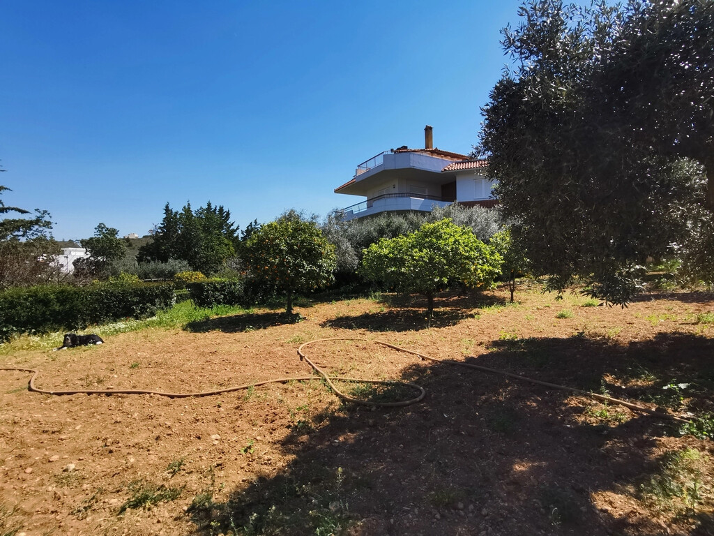 Detached house in Saronida, Rest Of Attica, Greece – 56683