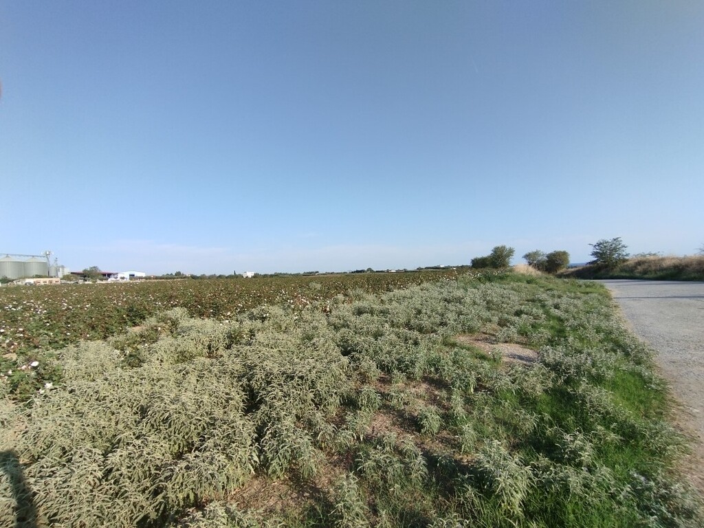 Land in Epanomi, Thessaloniki – Suburbs, Greece – 56658