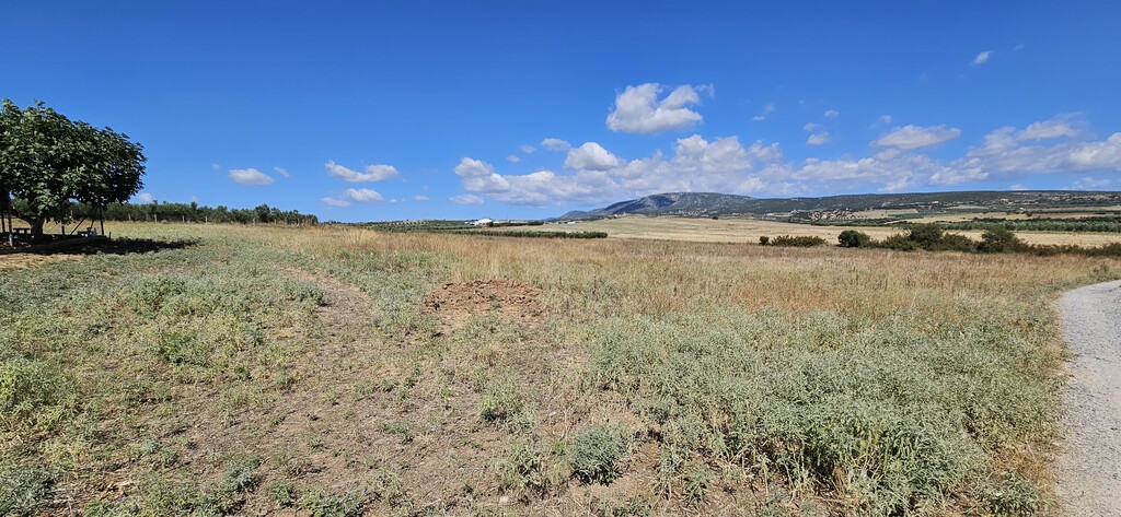 Land in Nea Propontida, Chalkidiki, Greece – 56633