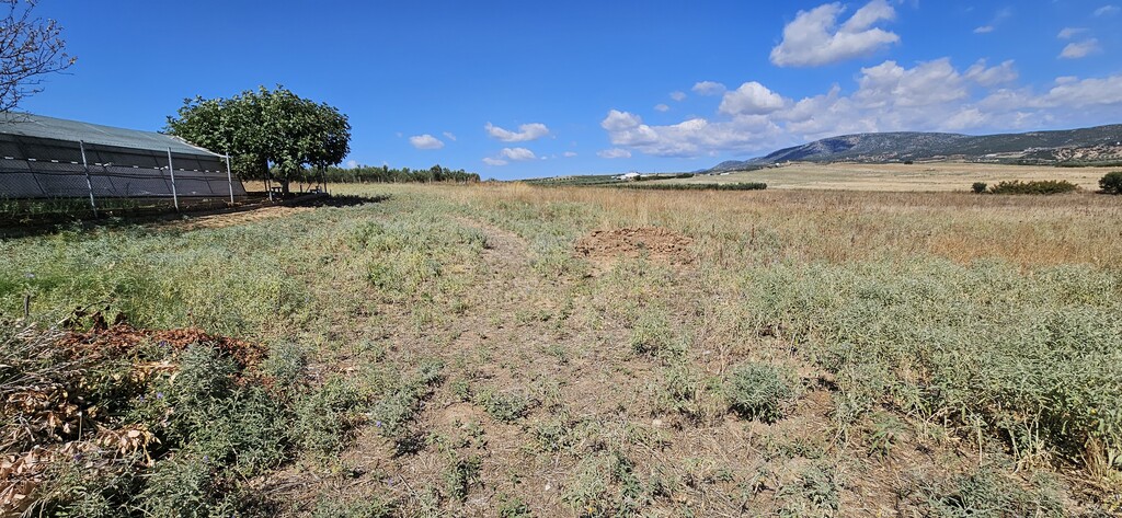 Land in Nea Propontida, Chalkidiki, Greece – 56633