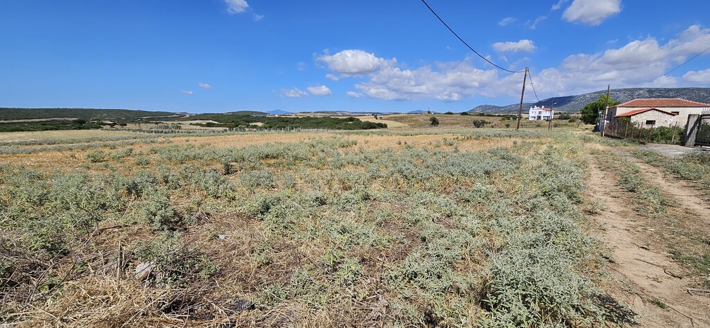 Land in Nea Propontida, Chalkidiki, Greece – 56632
