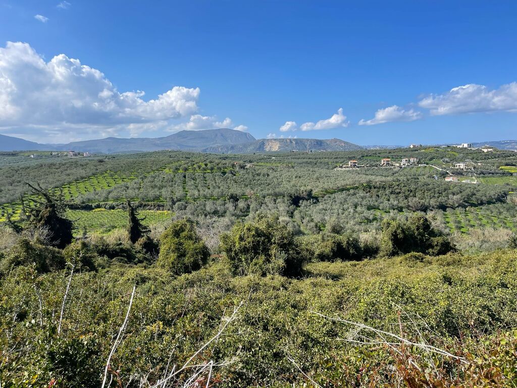 Land in Vamos, Chania Prefecture, Greece – 56612