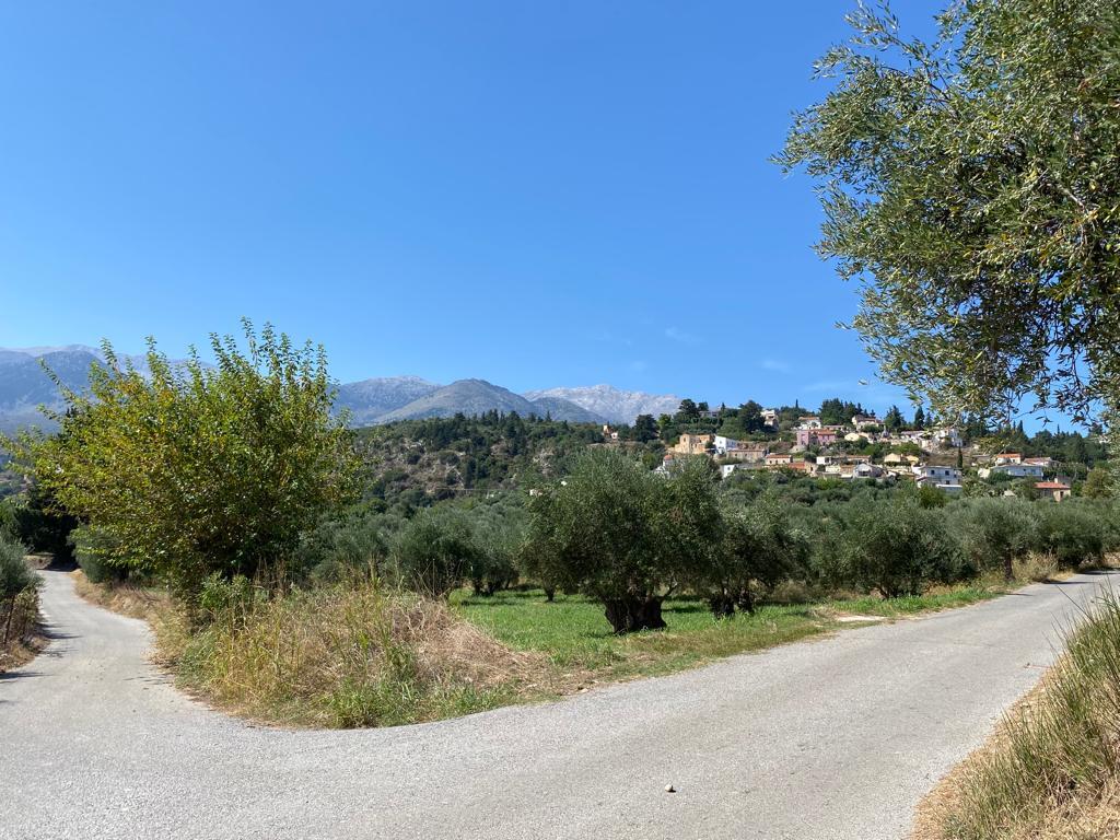 Land in Vamos, Chania Prefecture, Greece – 56610