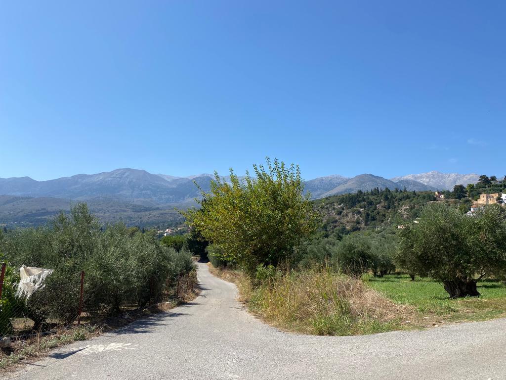 Land in Vamos, Chania Prefecture, Greece – 56610