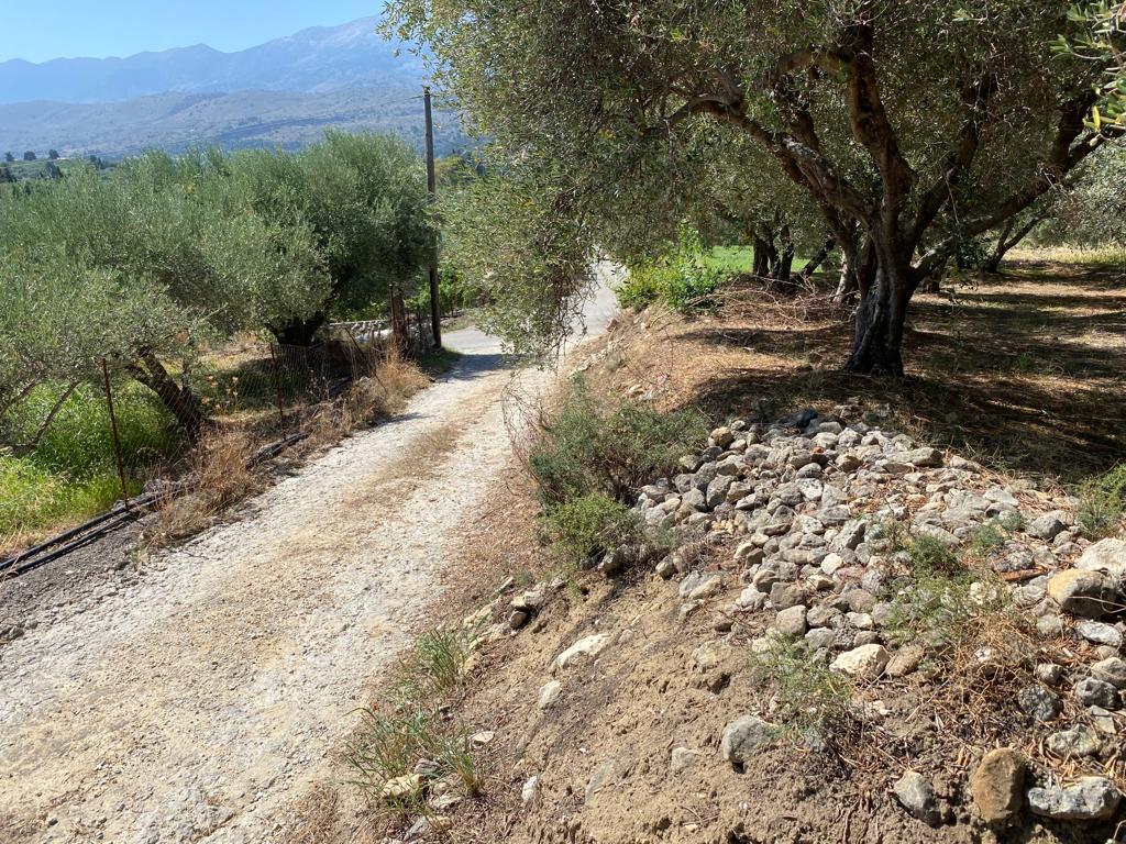 Land in Vamos, Chania Prefecture, Greece – 56610