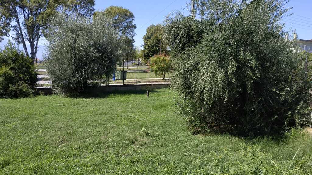 Land in Paralia, Pieria Prefecture, Greece – 56547