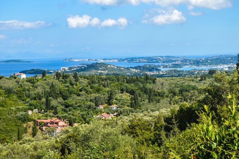 Land in Corfu, Corfu Prefecture, Greece – 56546