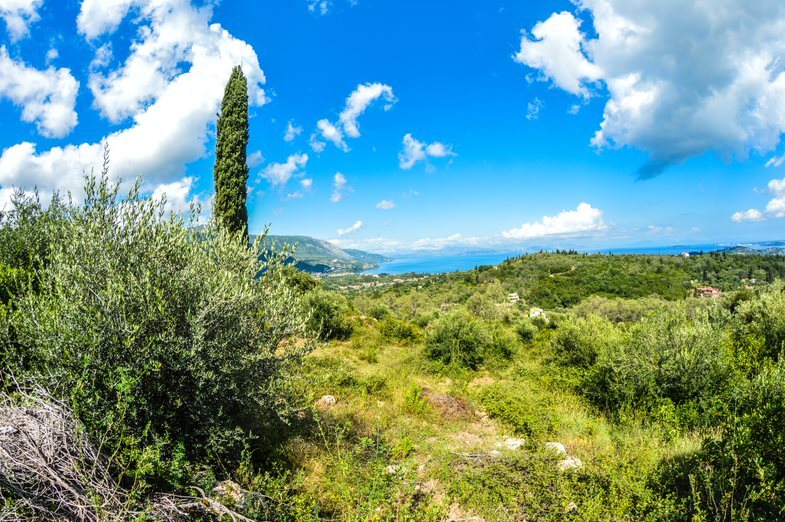 Land in Corfu, Corfu Prefecture, Greece – 56546
