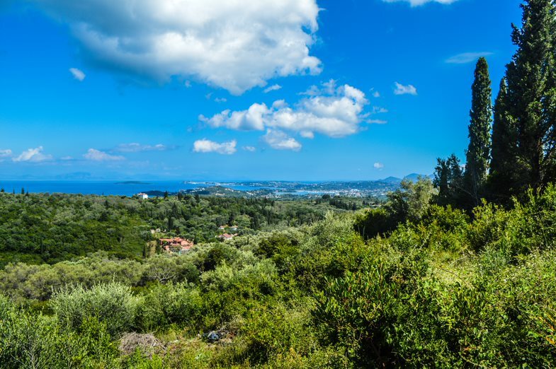 Land in Corfu, Corfu Prefecture, Greece – 56546