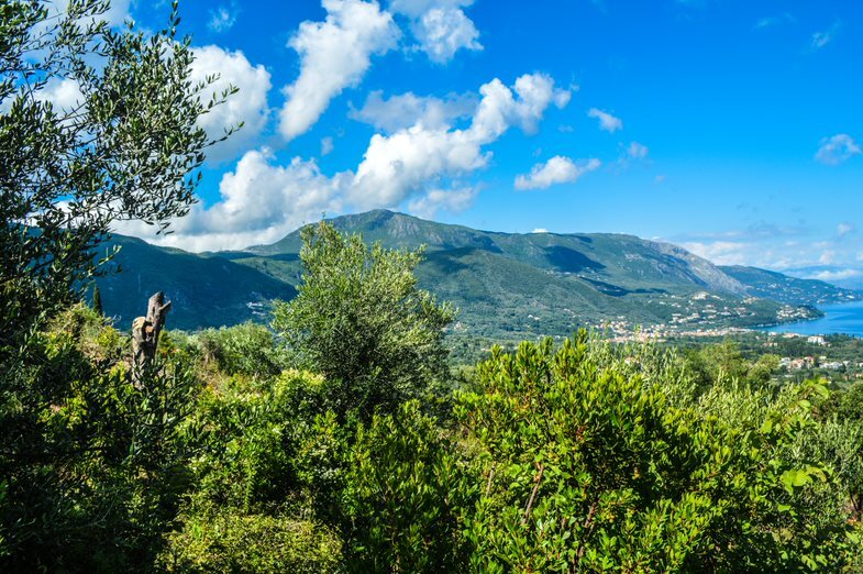 Land in Corfu, Corfu Prefecture, Greece – 56546