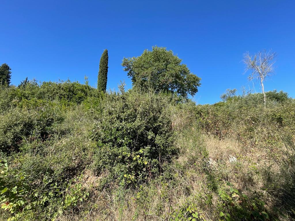 Land in Corfu, Corfu Prefecture, Greece – 56546