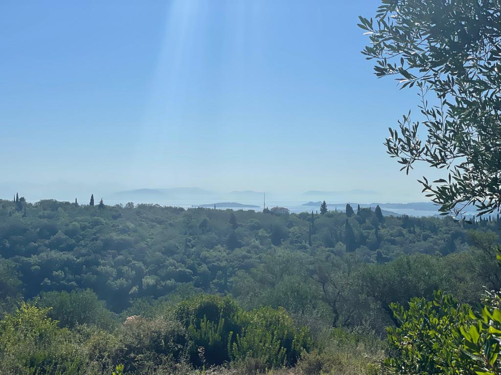 Land in Corfu, Corfu Prefecture, Greece – 56546