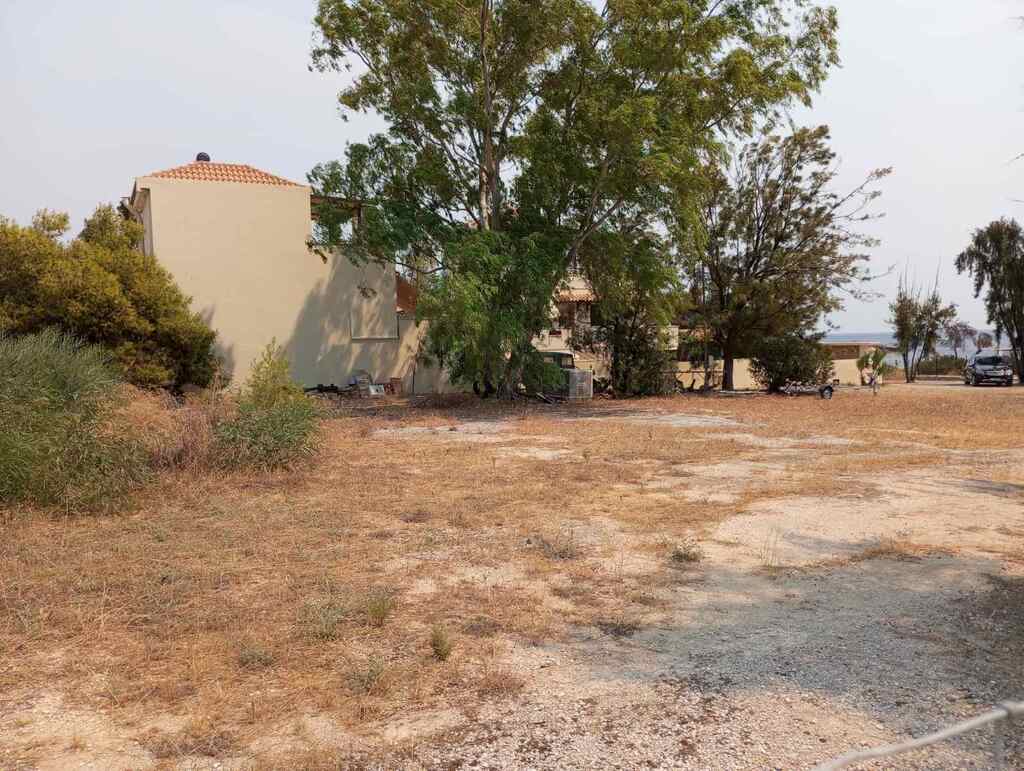 Land in Megara, Rest Of Attica, Greece – 56518