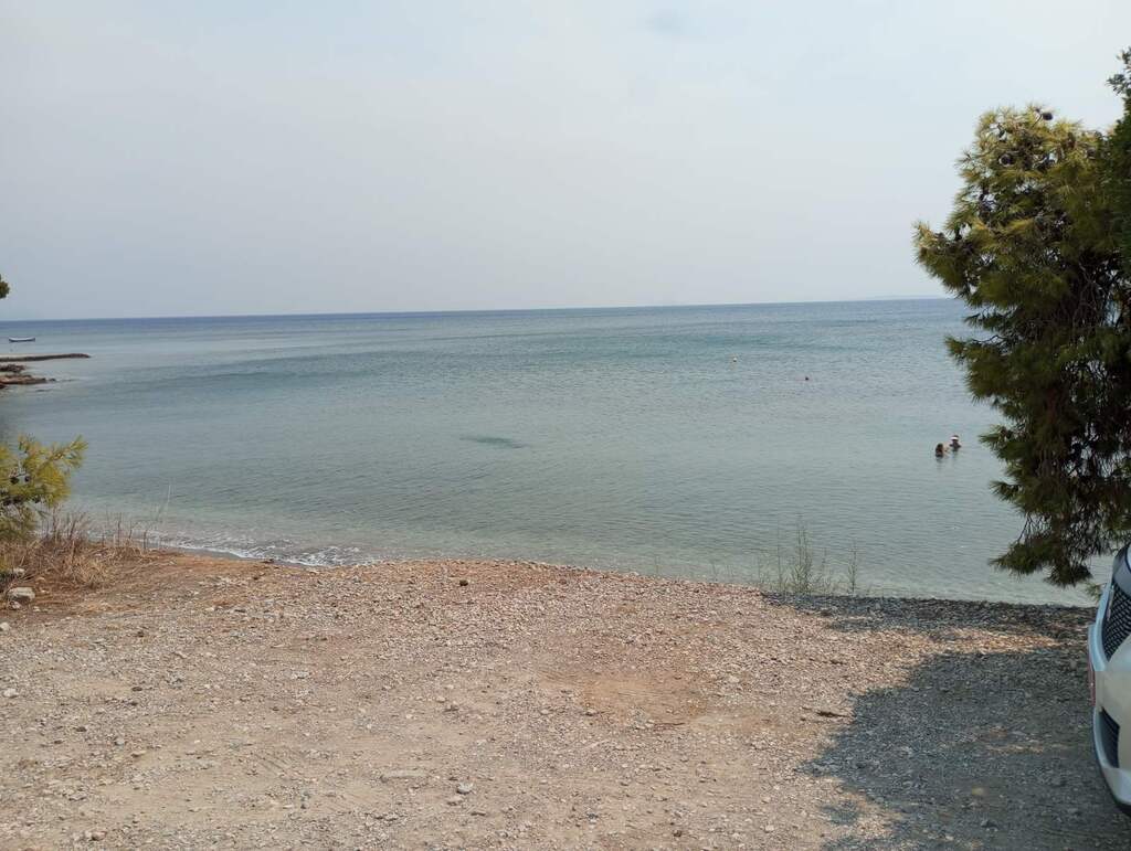 Land in Megara, Rest Of Attica, Greece – 56518