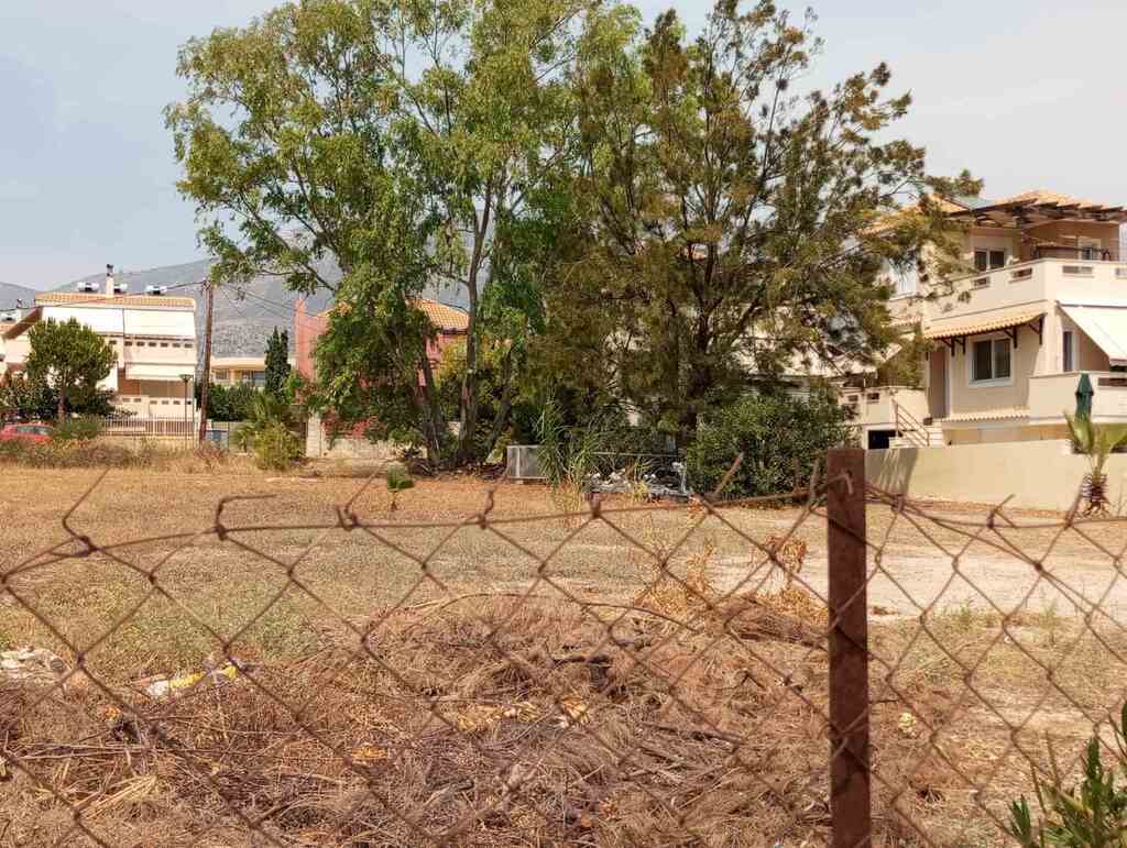 Land in Megara, Rest Of Attica, Greece – 56518