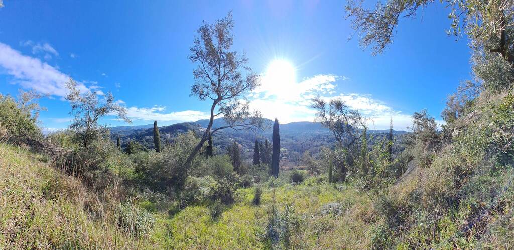 Land in Corfu, Corfu Prefecture, Greece – 56513