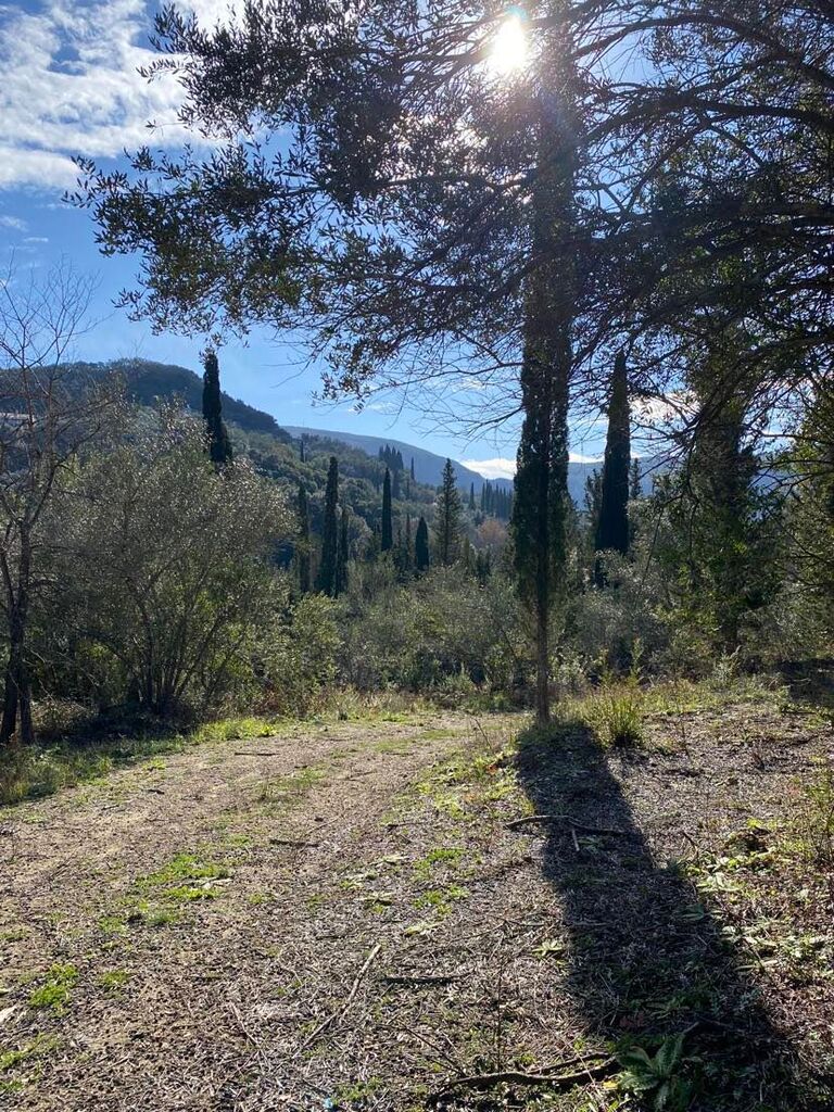 Land in Corfu, Corfu Prefecture, Greece – 56513