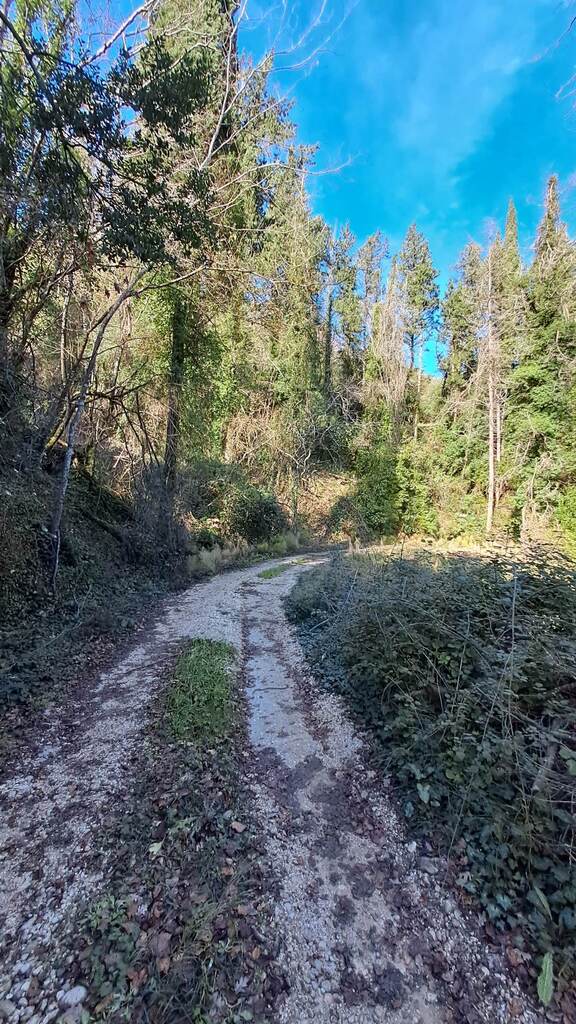 Land in Corfu, Corfu Prefecture, Greece – 56513