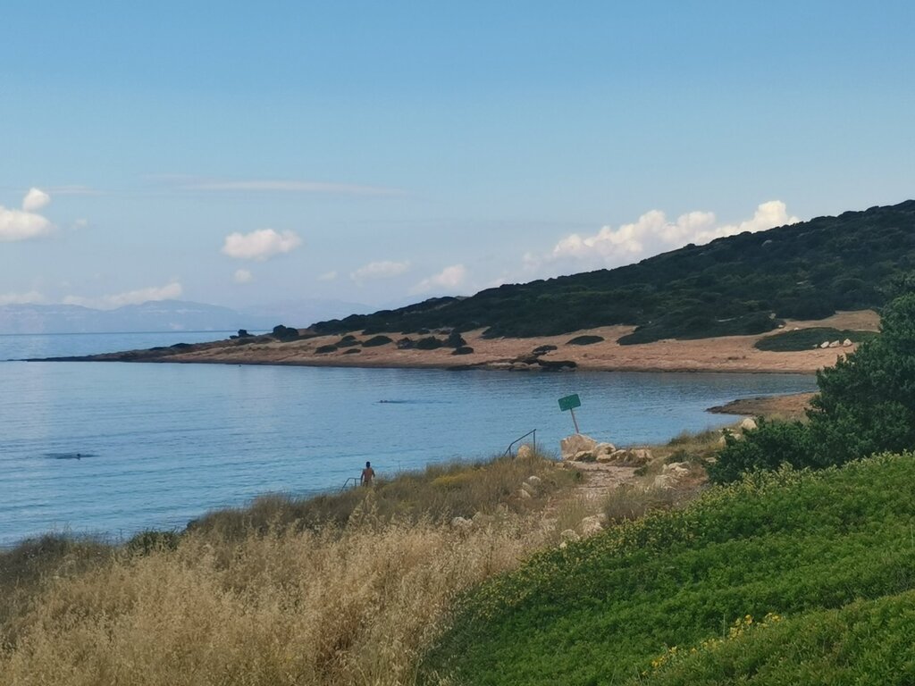 Land in Markopoulo, Rest Of Attica, Greece – 56455