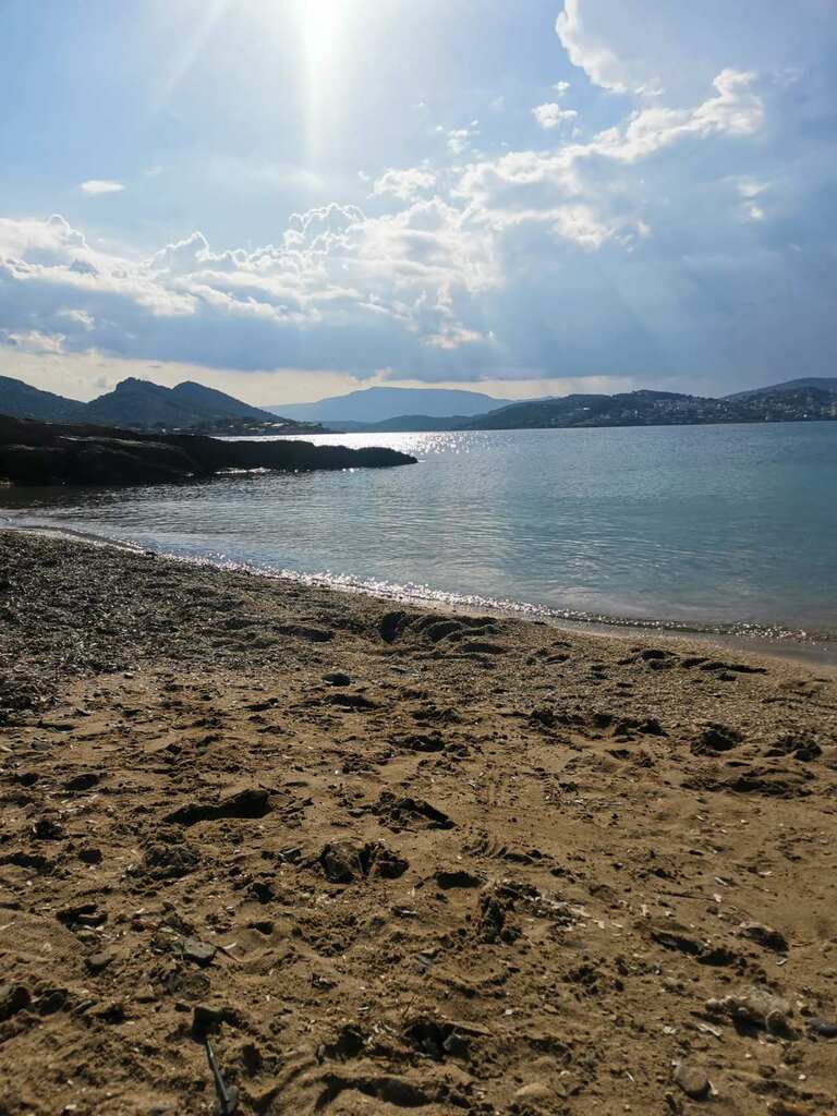 Land in Markopoulo, Rest Of Attica, Greece – 56455