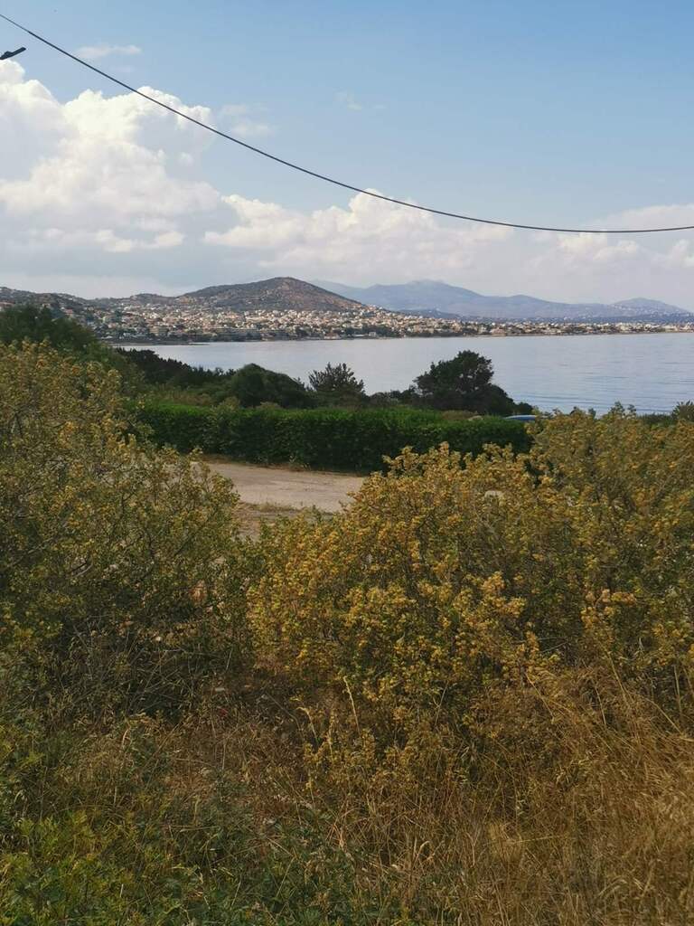Land in Markopoulo, Rest Of Attica, Greece – 56455