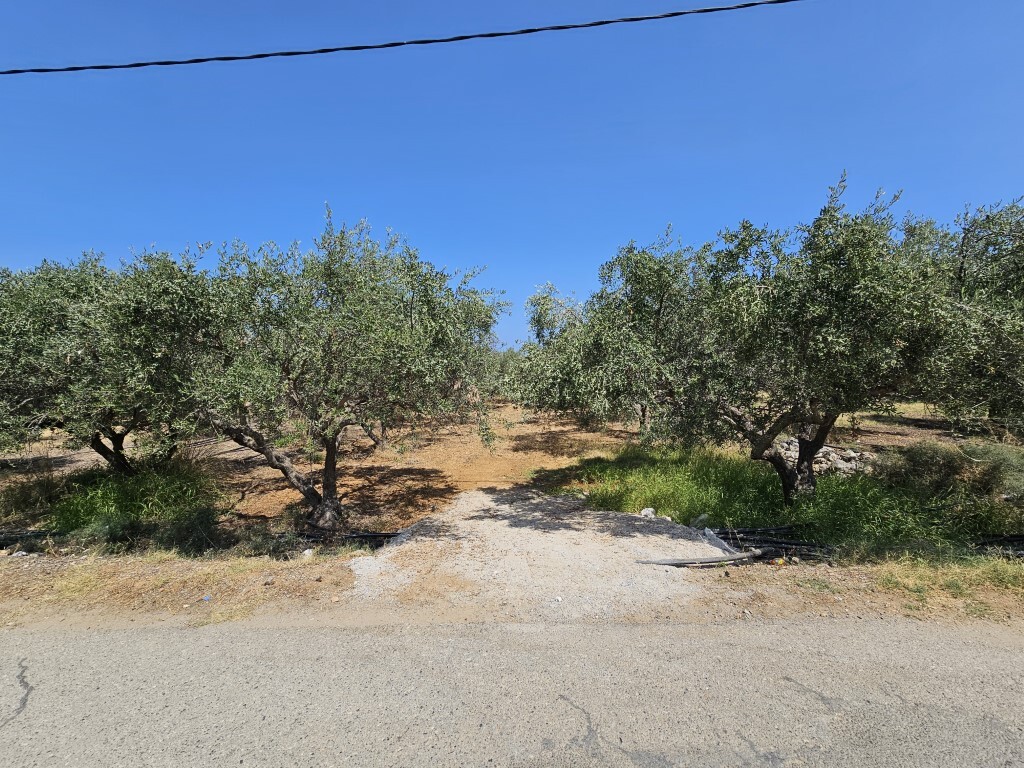 Land in Vrachasi, Lasithi Prefecture, Greece – 56431