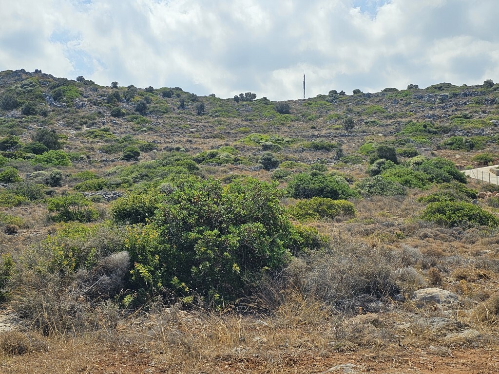 Land in Vrachasi, Lasithi Prefecture, Greece – 56430