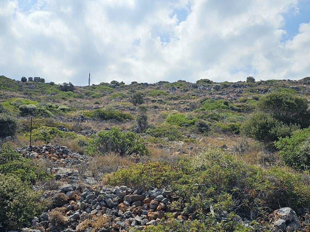 Land in Vrachasi, Lasithi Prefecture, Greece – 56430