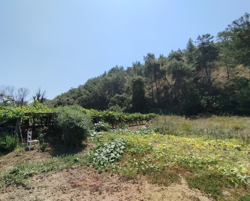 Land in Thermaikos, Thessaloniki – Suburbs, Greece – 56398