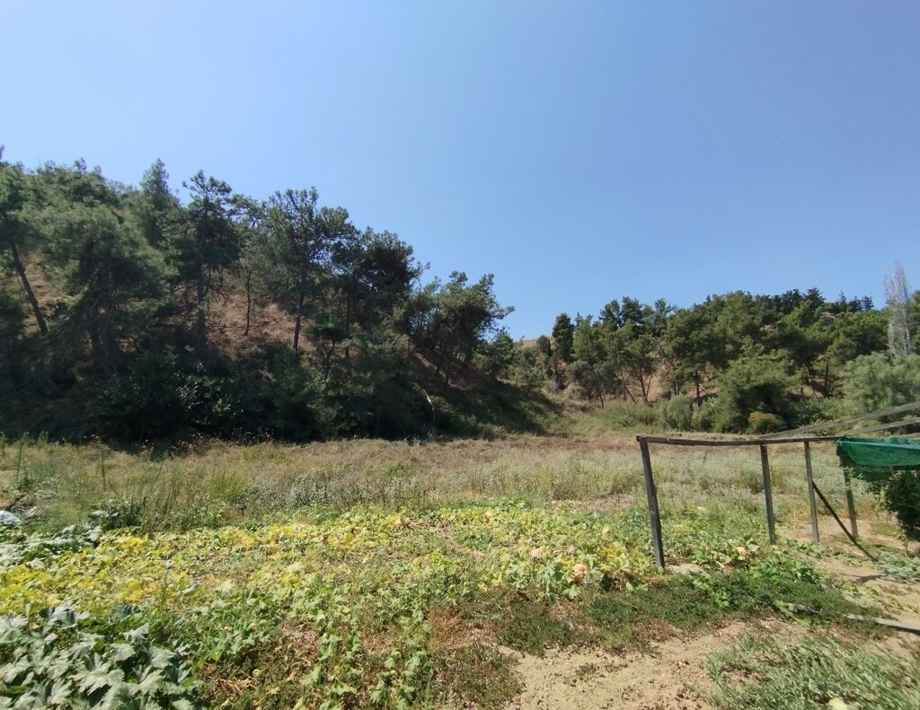 Land in Thermaikos, Thessaloniki – Suburbs, Greece – 56398