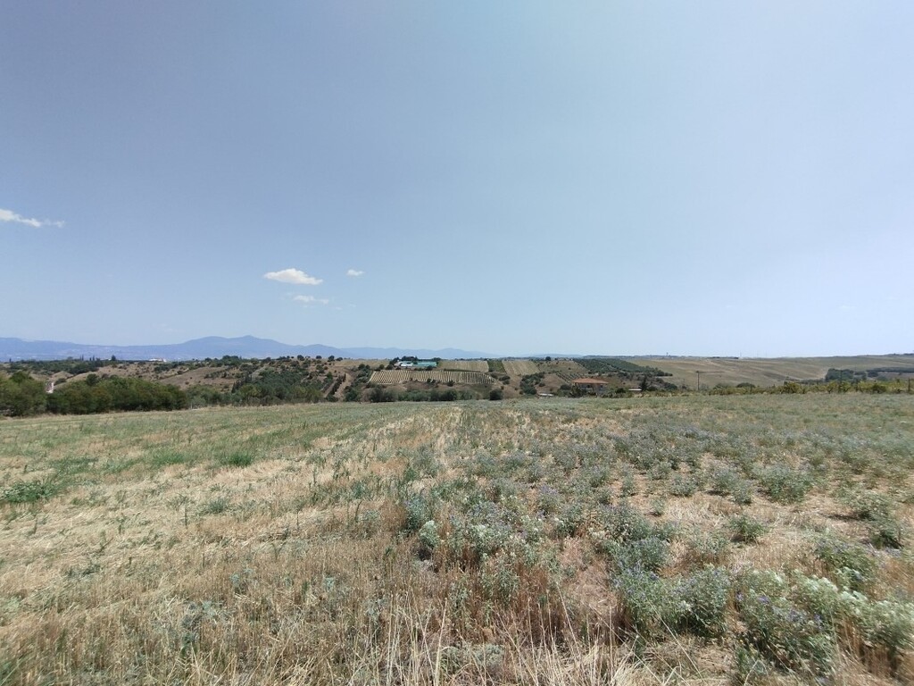 Land in Thermaikos, Thessaloniki – Suburbs, Greece – 56397