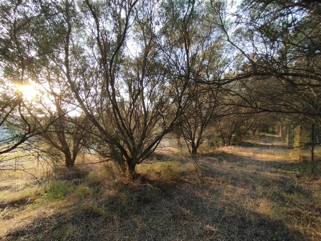 Land in Thermaikos, Thessaloniki – Suburbs, Greece – 56394
