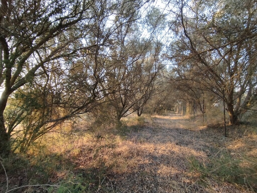 Land in Thermaikos, Thessaloniki – Suburbs, Greece – 56394