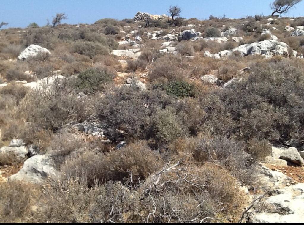 Land in Vamos, Chania Prefecture, Greece – 56387