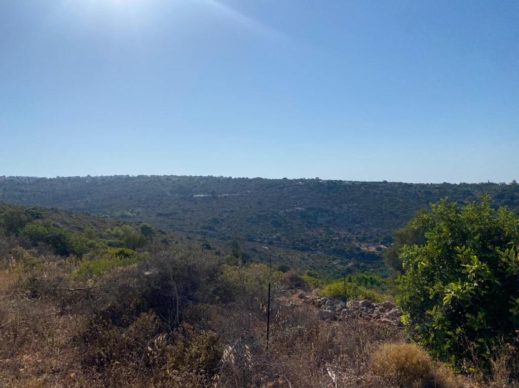 Land in Akrotiri, Chania Prefecture, Greece – 56375