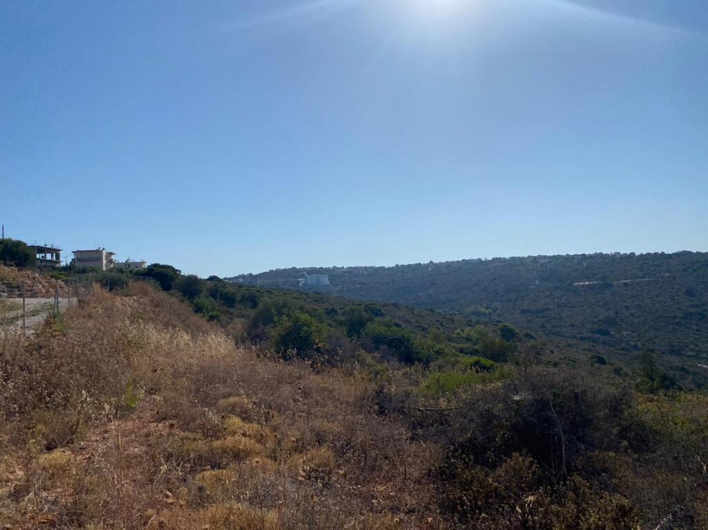 Land in Akrotiri, Chania Prefecture, Greece – 56375