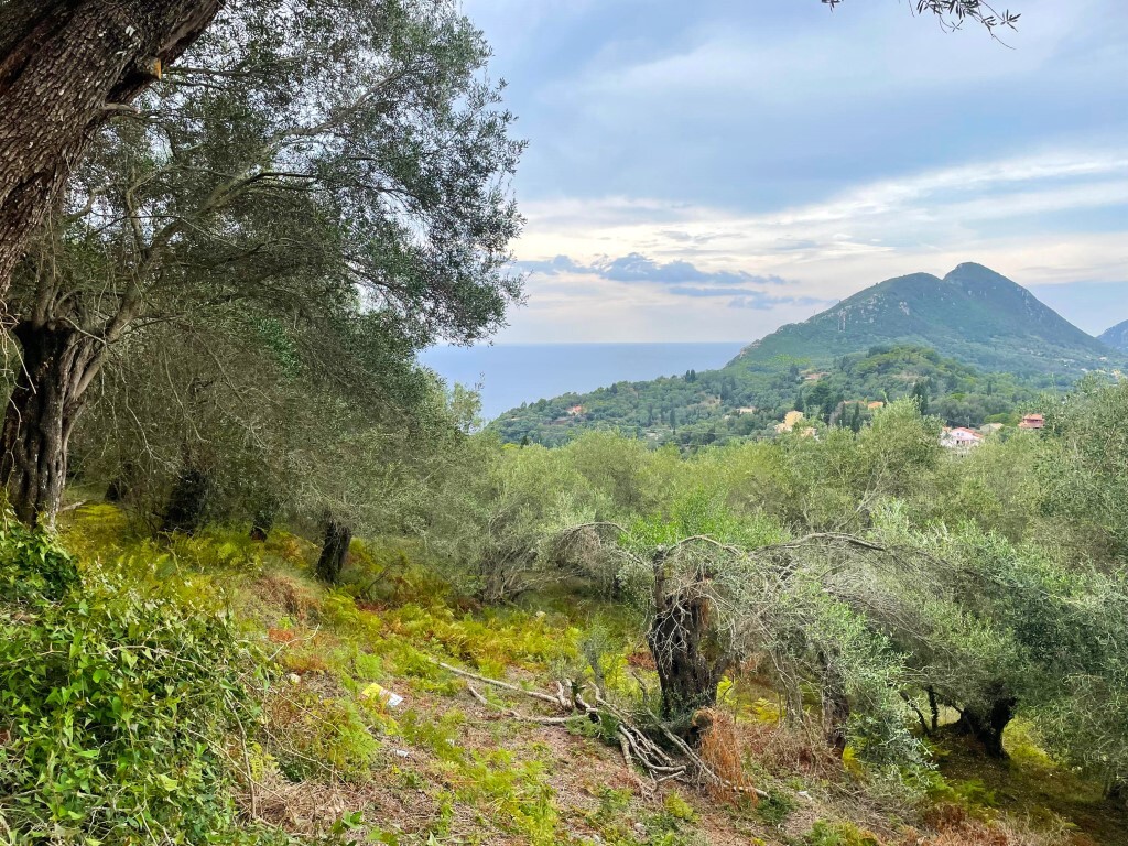 Land in Corfu, Corfu Prefecture, Greece – 56365