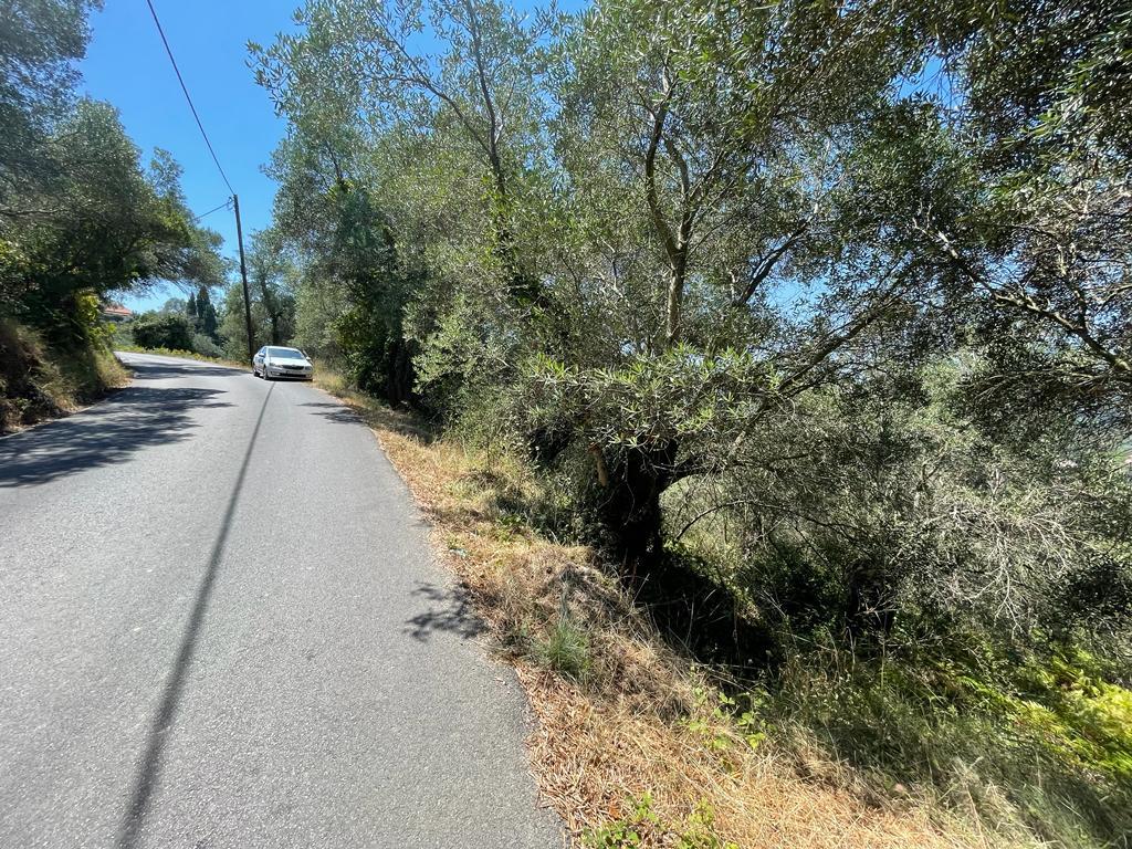 Land in Corfu, Corfu Prefecture, Greece – 56365