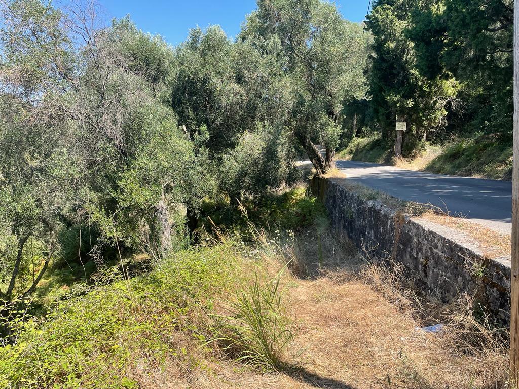 Land in Corfu, Corfu Prefecture, Greece – 56365