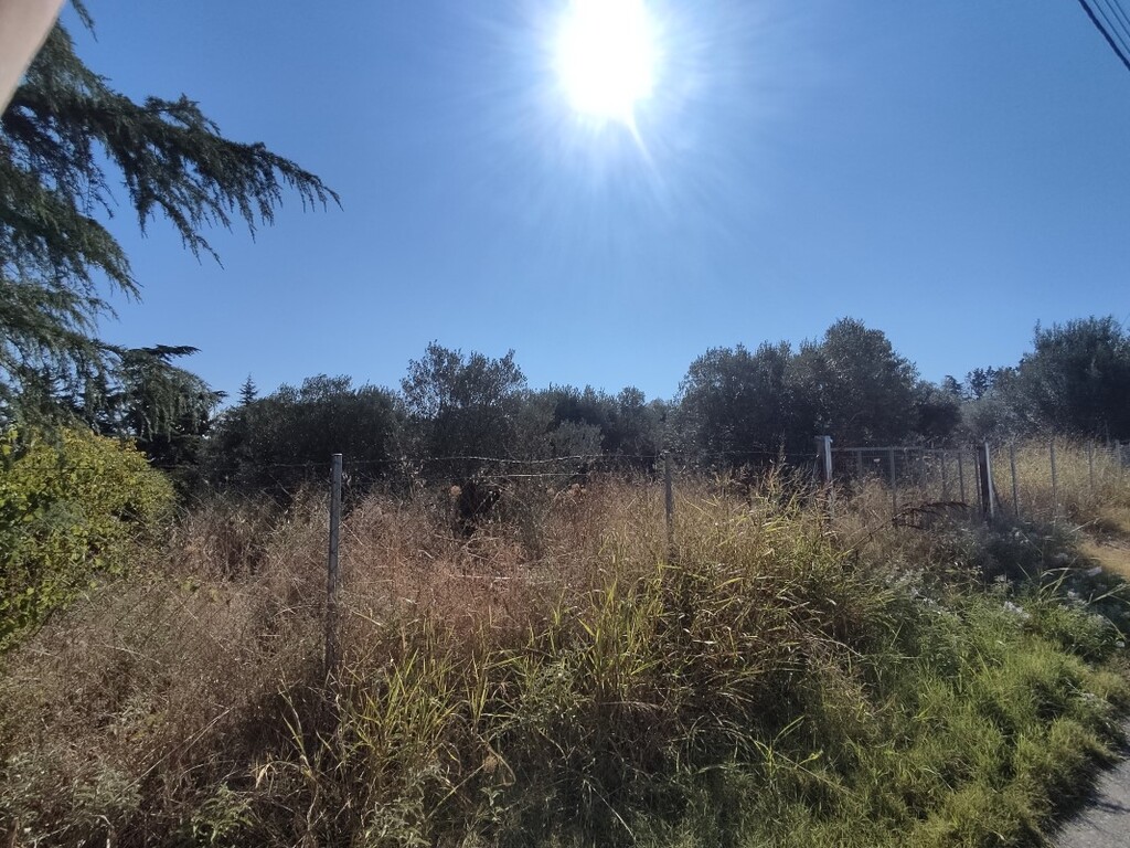 Land in Thermaikos, Thessaloniki – Suburbs, Greece – 56324
