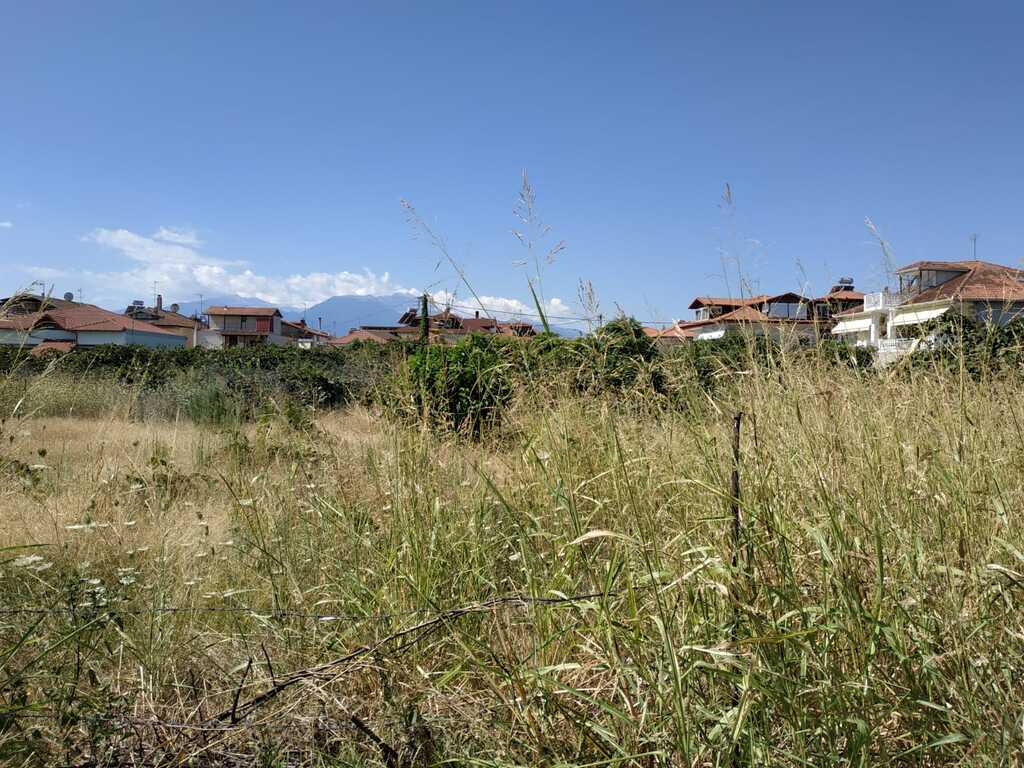 Land in Katerini, Pieria Prefecture, Greece – 56300