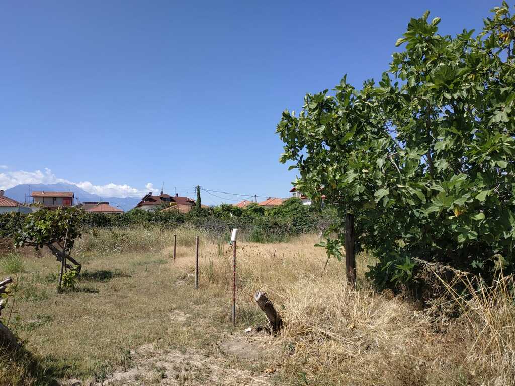 Land in Katerini, Pieria Prefecture, Greece – 56300