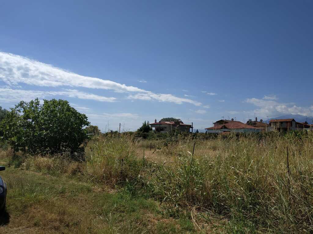 Land in Katerini, Pieria Prefecture, Greece – 56300