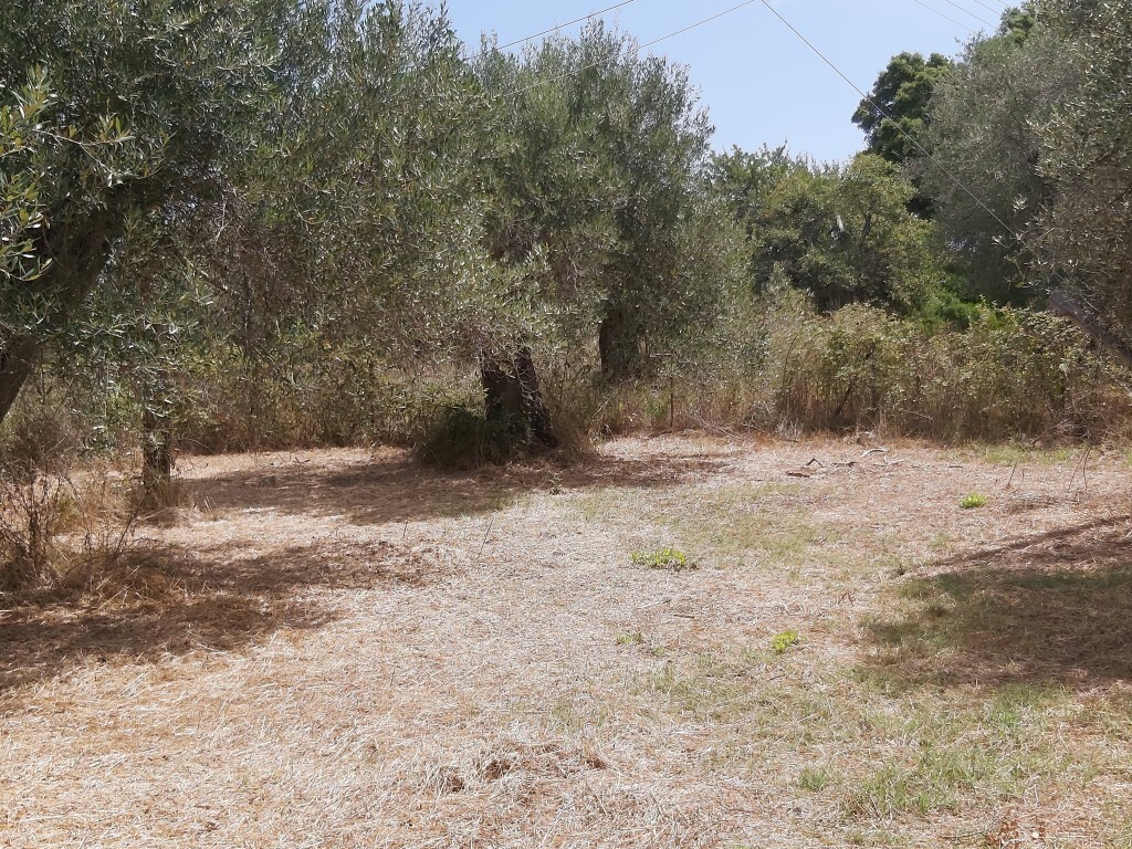 Land in Corfu, Corfu Prefecture, Greece – 56295