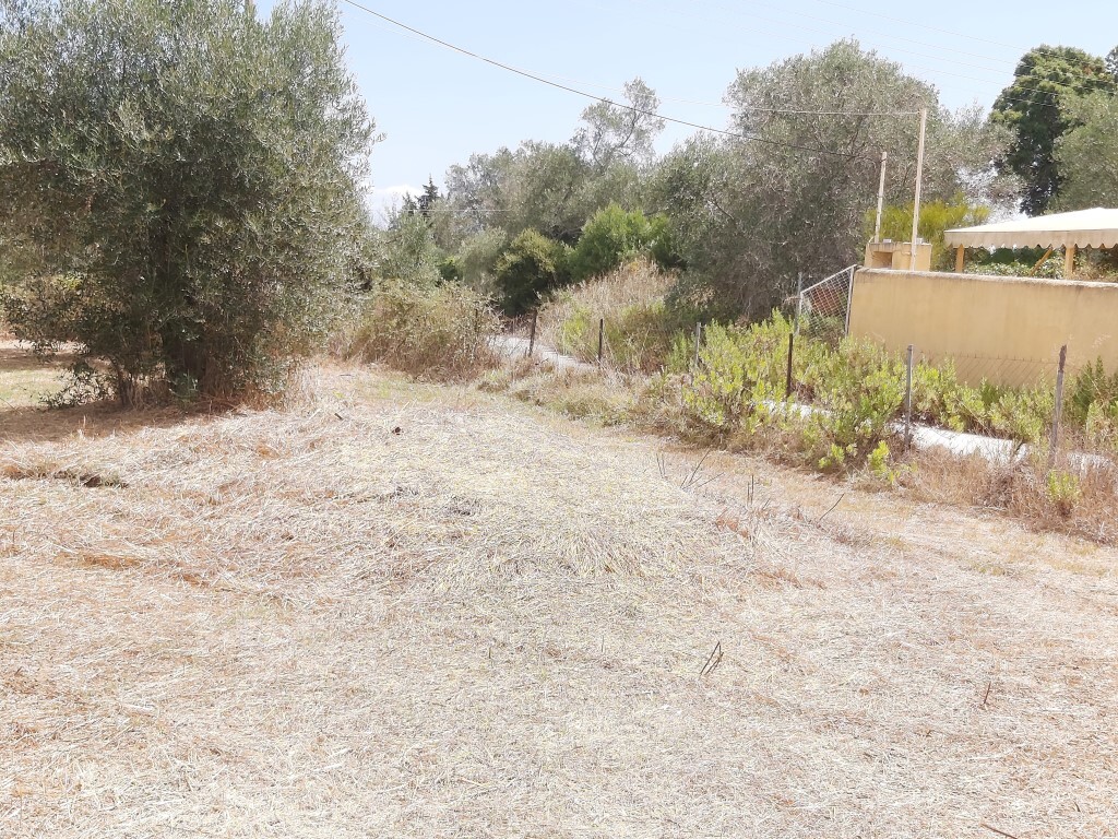 Land in Corfu, Corfu Prefecture, Greece – 56295